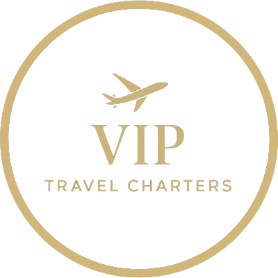 VIP Logo